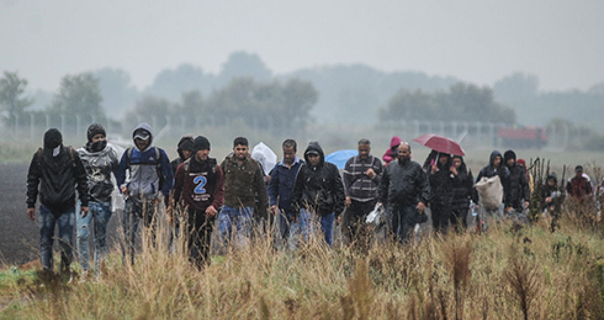Weitere Schritte Zur Bewältigung Der Flüchtlingskrise Notwendig Csu Landesgruppe